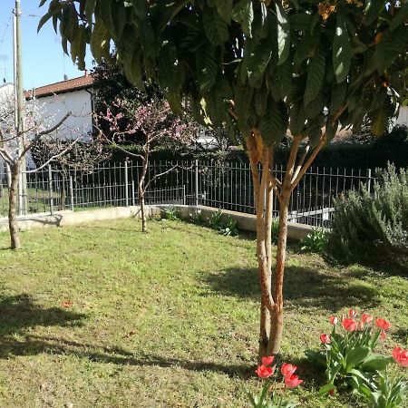 Home Di Federico كيفاسّو المظهر الخارجي الصورة