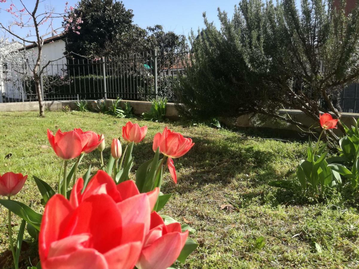 Home Di Federico كيفاسّو المظهر الخارجي الصورة